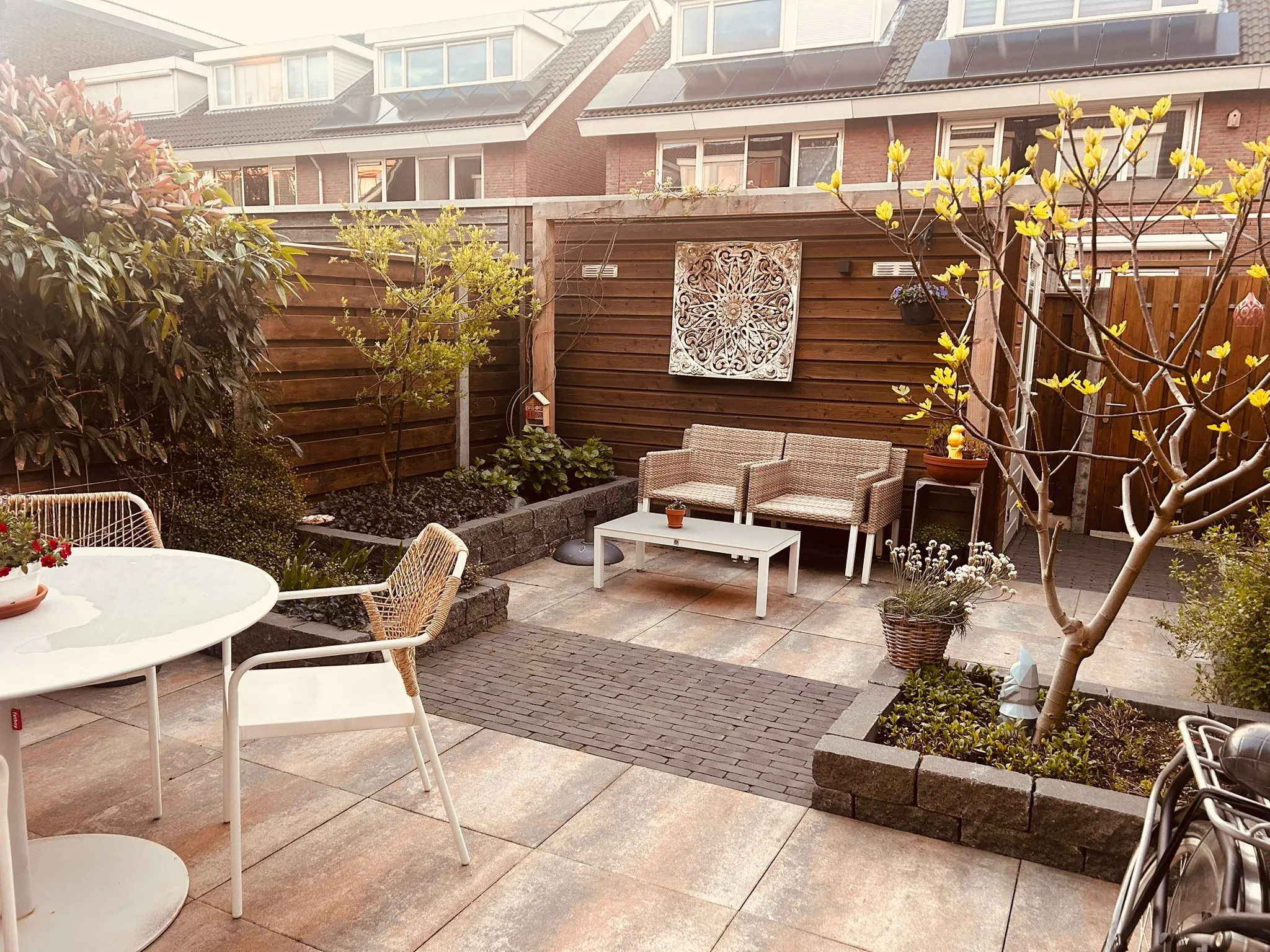 De tuin met zitje, plantjes en een boom
